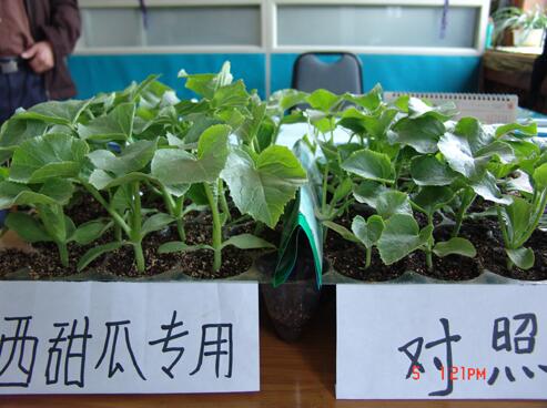 廣譜和專(zhuān)用基質(zhì)對(duì)比